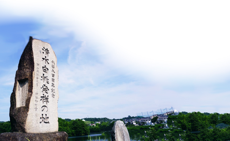 岡山の白桃は、主に県南で多く作られ、中でもこの白桃は一宮で収穫された高品質なものです。