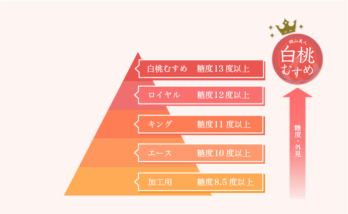 「白桃むすめ」は13度以上の高糖度!1玉300g以上!