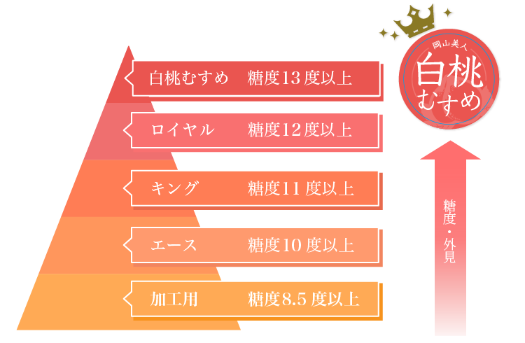 「白桃むすめ」は13度以上の高糖度!1玉300g以上!